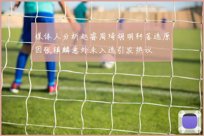 媒体人分析赵睿周琦胡明轩落选原因张镇麟意外未入选引发热议
