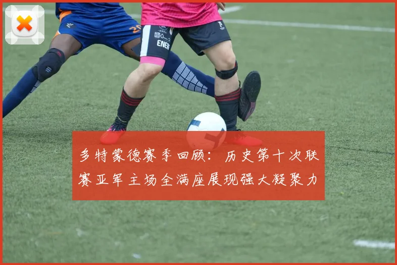 多特蒙德赛季回顾：历史第十次联赛亚军主场全满座展现强大凝聚力
